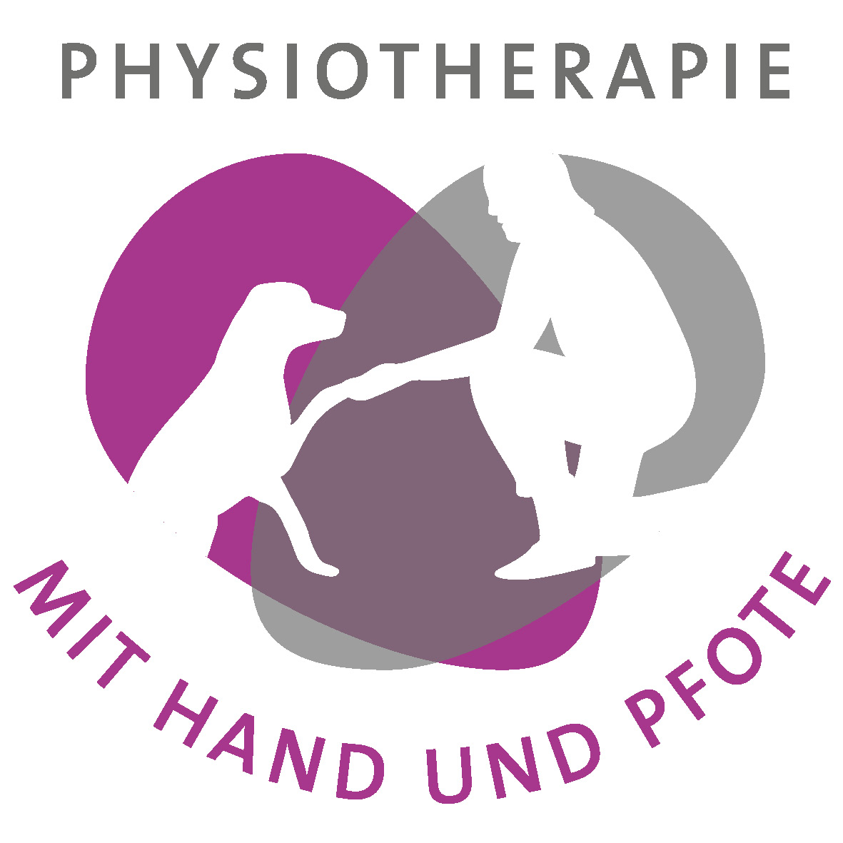 Physiotherapie mit Hand und Pfote