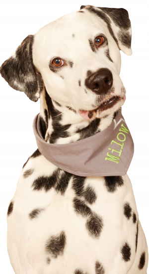 milow frei bis brust